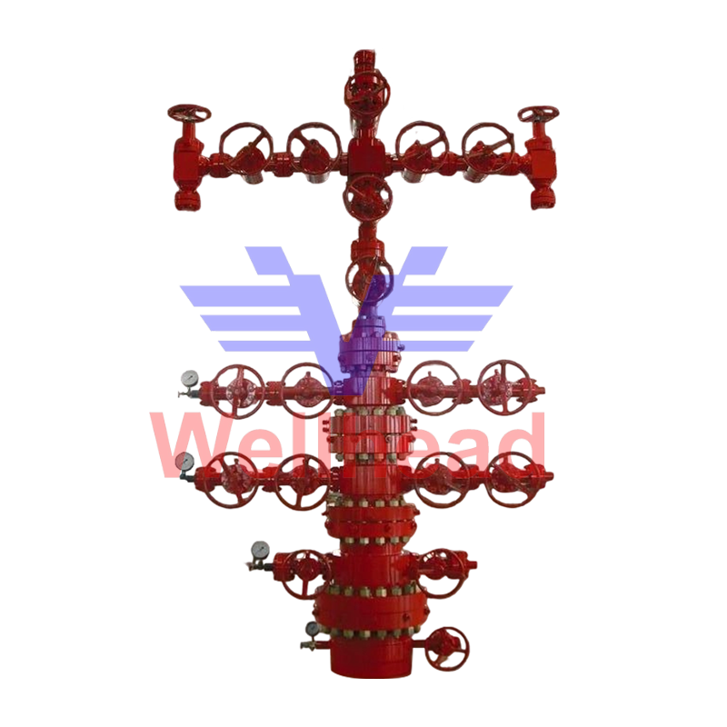 Wellhead and X-mas Tree Assy Wellhead and X-mas Tree Assy