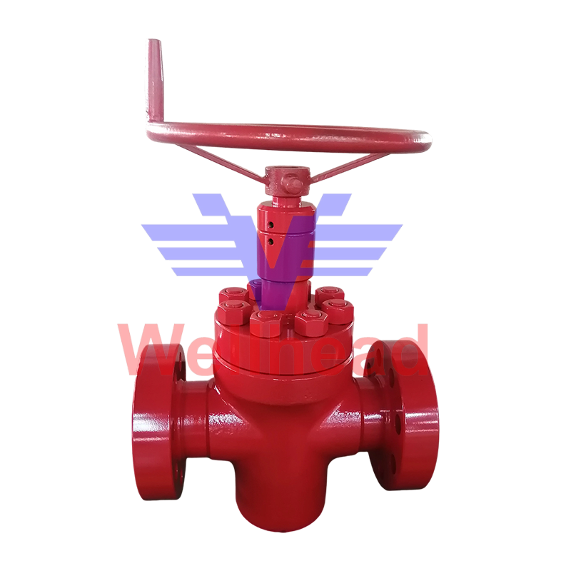 Cameron FLS Gate Valve Cameron FLS Gate Valve