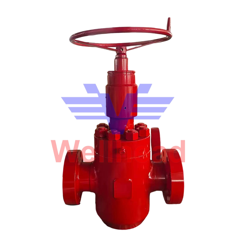 Cameron FLS Gate Valve Cameron FLS Gate Valve